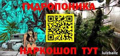 PSILOCYBIN Партизанск